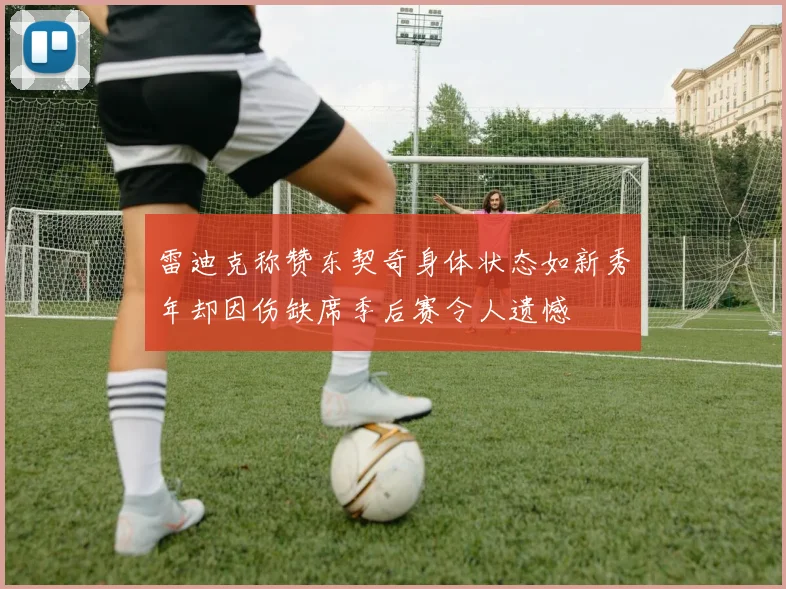 雷迪克称赞东契奇身体状态如新秀年却因伤缺席季后赛令人遗憾