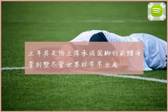 土耳其足协主席承诺国脚们获赠海景别墅尽管世界杯早早出局